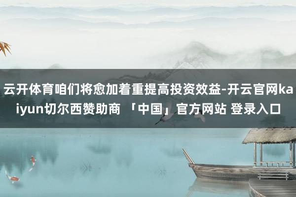 云开体育咱们将愈加着重提高投资效益-开云官网kaiyun切尔西赞助商 「中国」官方网站 登录入口